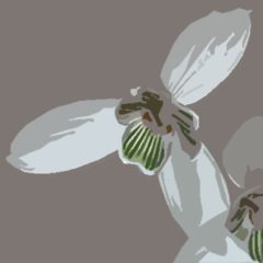 The Lugg Embroideries